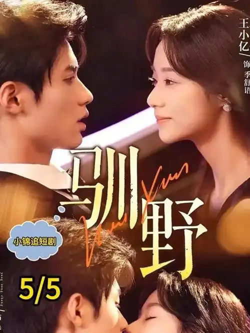 归墟纪事 热播电视剧全集免费看